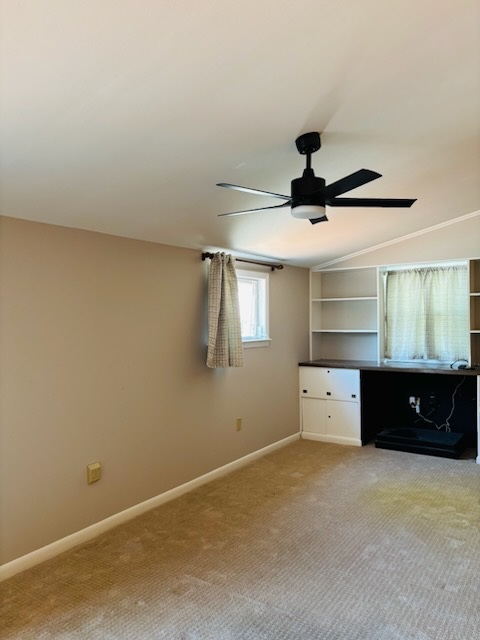 Gallery Photo 15